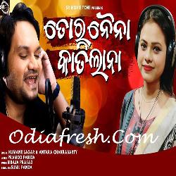 Toro Naina Katilana - Odia Song